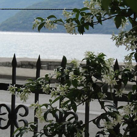 Apartments Risan Dış mekan fotoğraf