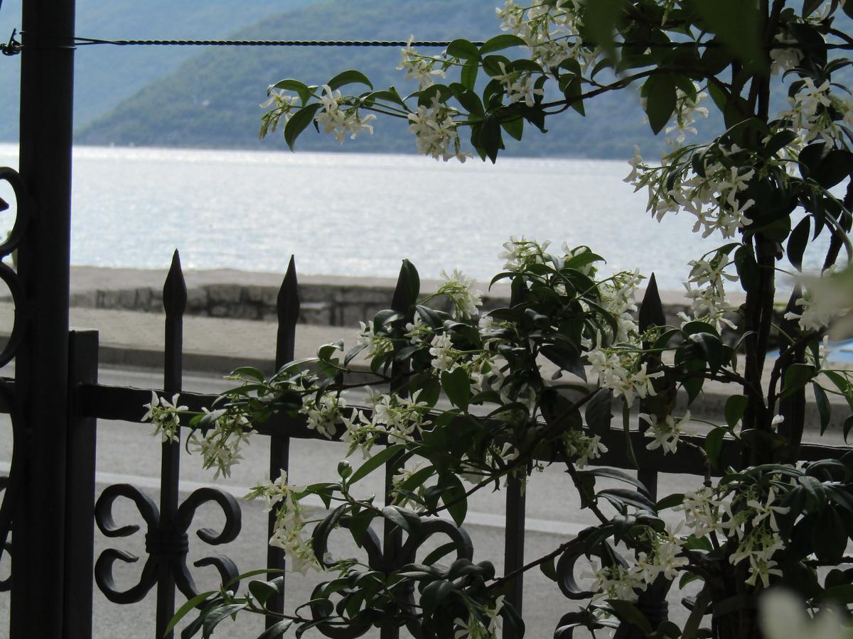Apartments Risan Dış mekan fotoğraf